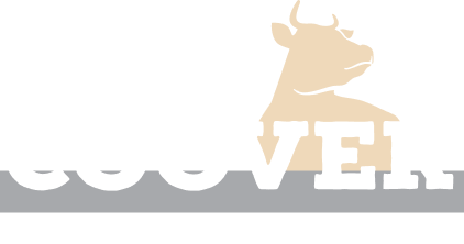 Blake for Congress Logo